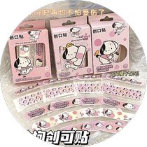 Sanrio Pacha Dog Band-Aid Cute Cartoon Girl High-Looking Hemostatic Band-Aid Internet Celebrity Waterproof and Breathable