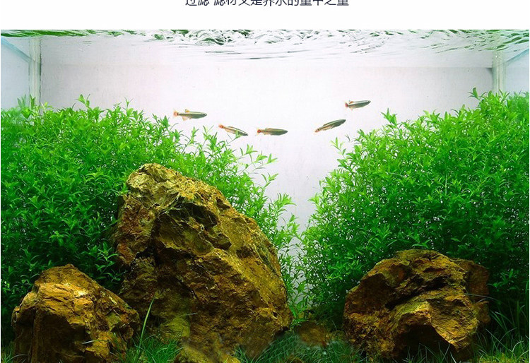 Неизвестно -1_07.jpg