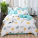 Chăn bông đơn 1,5m1,8m giường đôi 200x230 ký túc xá sinh viên 100% chăn bông - Quilt Covers