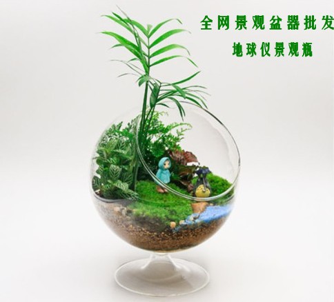 Manufacturer produces microscape moss Ecological Bottle Globe pitched bottle supply Welcome details