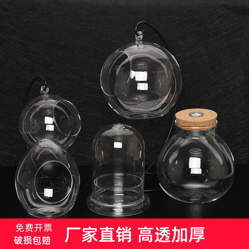 Micro Landscape Eco Bottle Mini Green Planting Potted Plant Diy Moss Plant Creative Glass Bottle Pendulum with inclined bottle hanging bottle