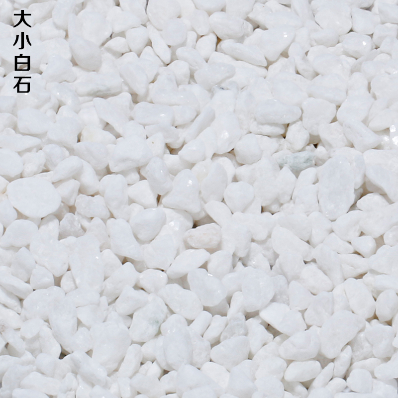 Size number white jade stone moss microscape white polished cobblestone multi-meat paving decoration