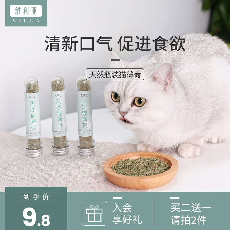 Villia Catnip Cat Snack Cat Grass 6g Thực vật tự nhiên Làm dịu răng Cảm xúc Làm sạch Hơi thở Thú cưng - Đồ ăn nhẹ cho mèo