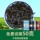 Чай Wuyi Rock Tea Чай Дахунпао Циланьский Аутентичный Цветочный чай с нарциссом и корицей Циланьский улун в комбинированной упаковке на большую порцию mini 1