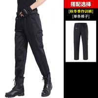 Осенние штаны