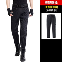 Летние штаны