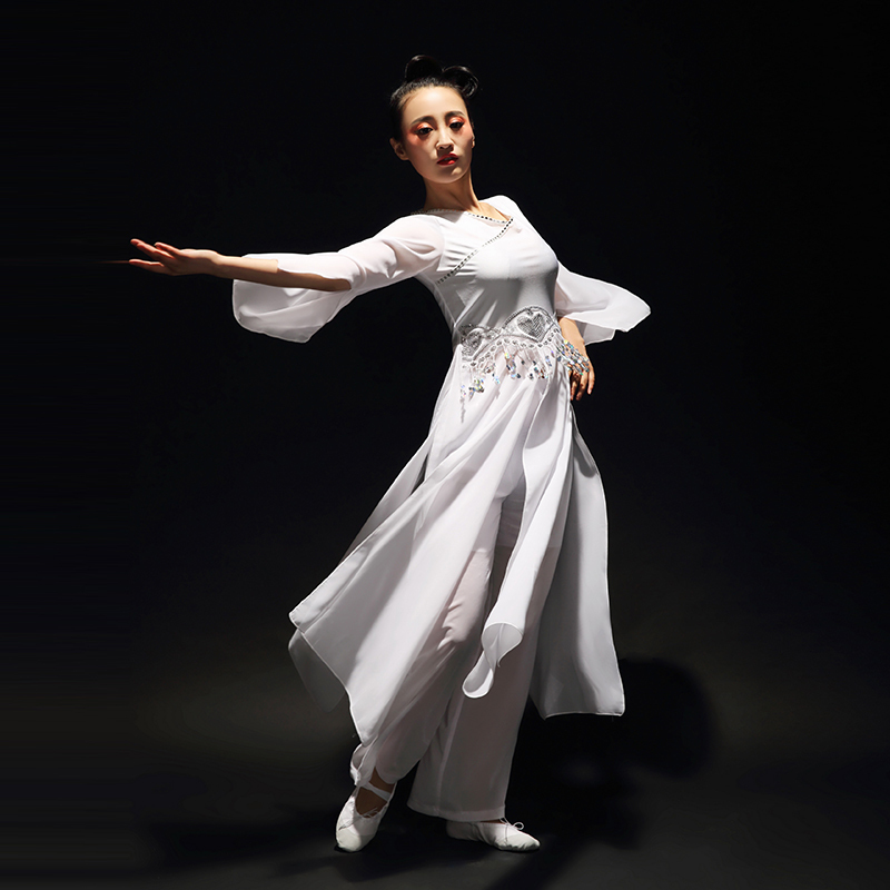 Chinese Folk Dance Costumes Classical Dance Costume, Female Practitioner Gongfu, Fairy Adult Modern Dance Costume Fan Dance