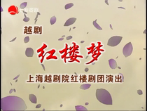 Yue Opera Dream of Red Mansions Qian Huili Shan Yangping Chen Ying Tang Xiaoling Zhang Yongmei Zhang Hailing Huang Hui 2DVD
