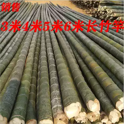 Bamboo pole bamboo pole 3 meters 4 meters 5 meters 6 meters long thick Moso Bamboo Bamboo Bamboo stick