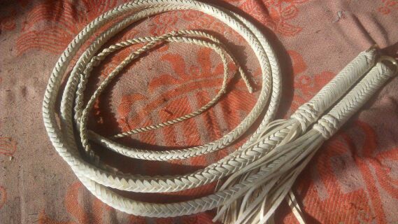 Article équitation - Ref 1383299 Image 11