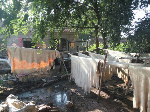 Article sports equestres - Ref 1383814 Image 14