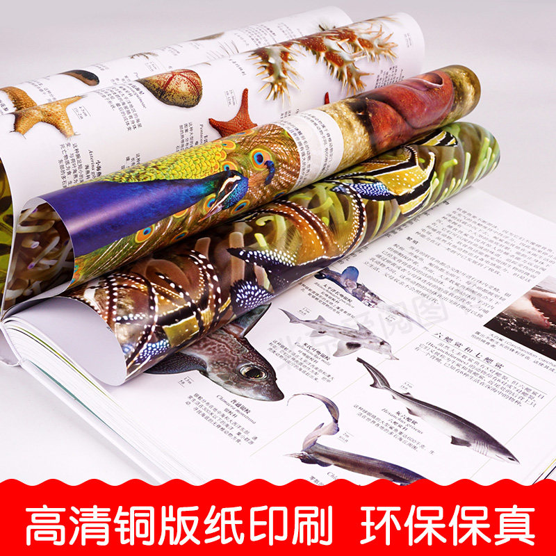 DK博物大百科 中文版 自然界的视觉盛宴 双重优惠折后￥260包邮