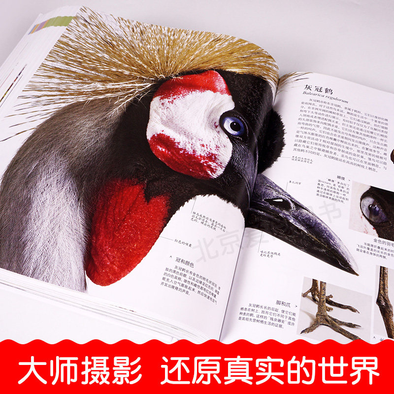 DK博物大百科 中文版 自然界的视觉盛宴 双重优惠折后￥260包邮