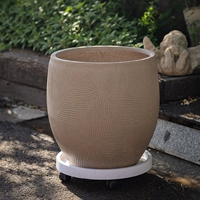 Большой цветочный горшок