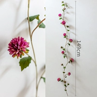 8 -Глума розовая хризантемная лоза