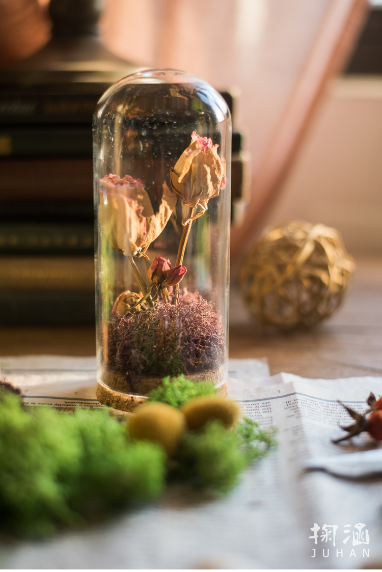 软 Nắp thủy tinh Cork Trang trí trang trí micro cảnh hoa khô mẫu búp bê búp bê chai quà tặng DIY cách trang trí phòng khách nhà vuông