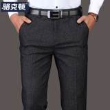 Демисезонные универсальные осенние штаны, свободный прямой крой, для среднего возраста