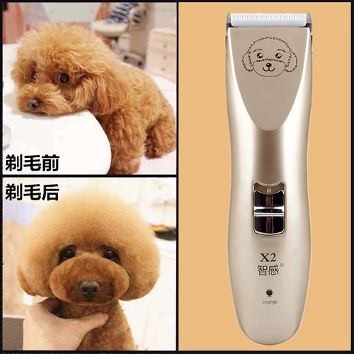 Pet Electric Push к щенкам для щенков Shavers Swever