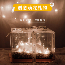 Send girlfriend friend birthday gift Girl best friend practical creative exquisite special heart-moving small memorial