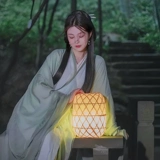 Холодный ханфу женский стиль Jin Style 2025 Новая женская древняя стиль с широко на рукавам