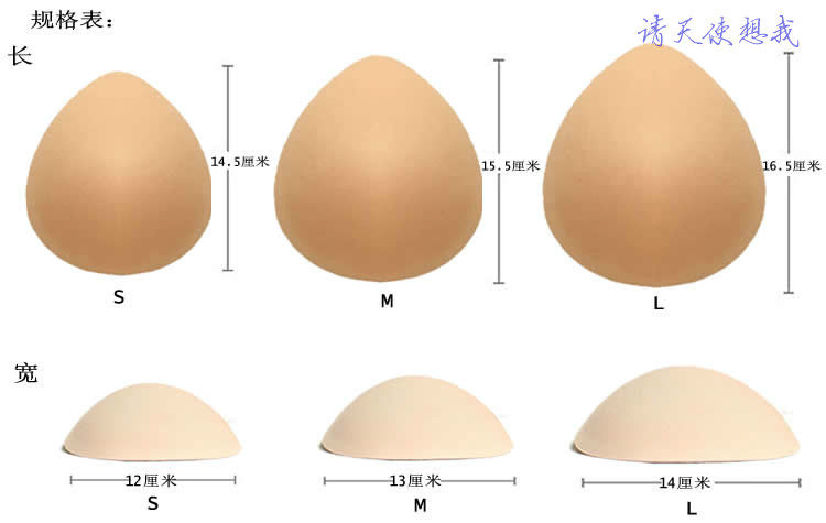 Pads pour soutien-gorge - Ref 817534 Image 5