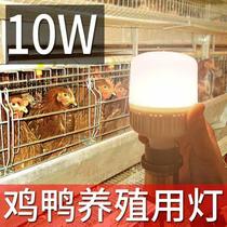  LED bulb warm light Commercial yellow light Chicken farm living room animal husbandry yellow live light bulb energy-saving w20 incandescent lamp