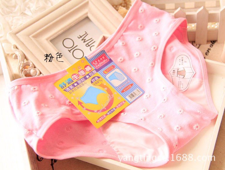 Slip jeunesse en coton - Ref 653779 Image 15