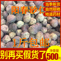 Spring amomum villosum Yangchun specialty high-quality raw sun-dried spring amomum villosum soup tea steamed meat original spring amomum villosum 500g