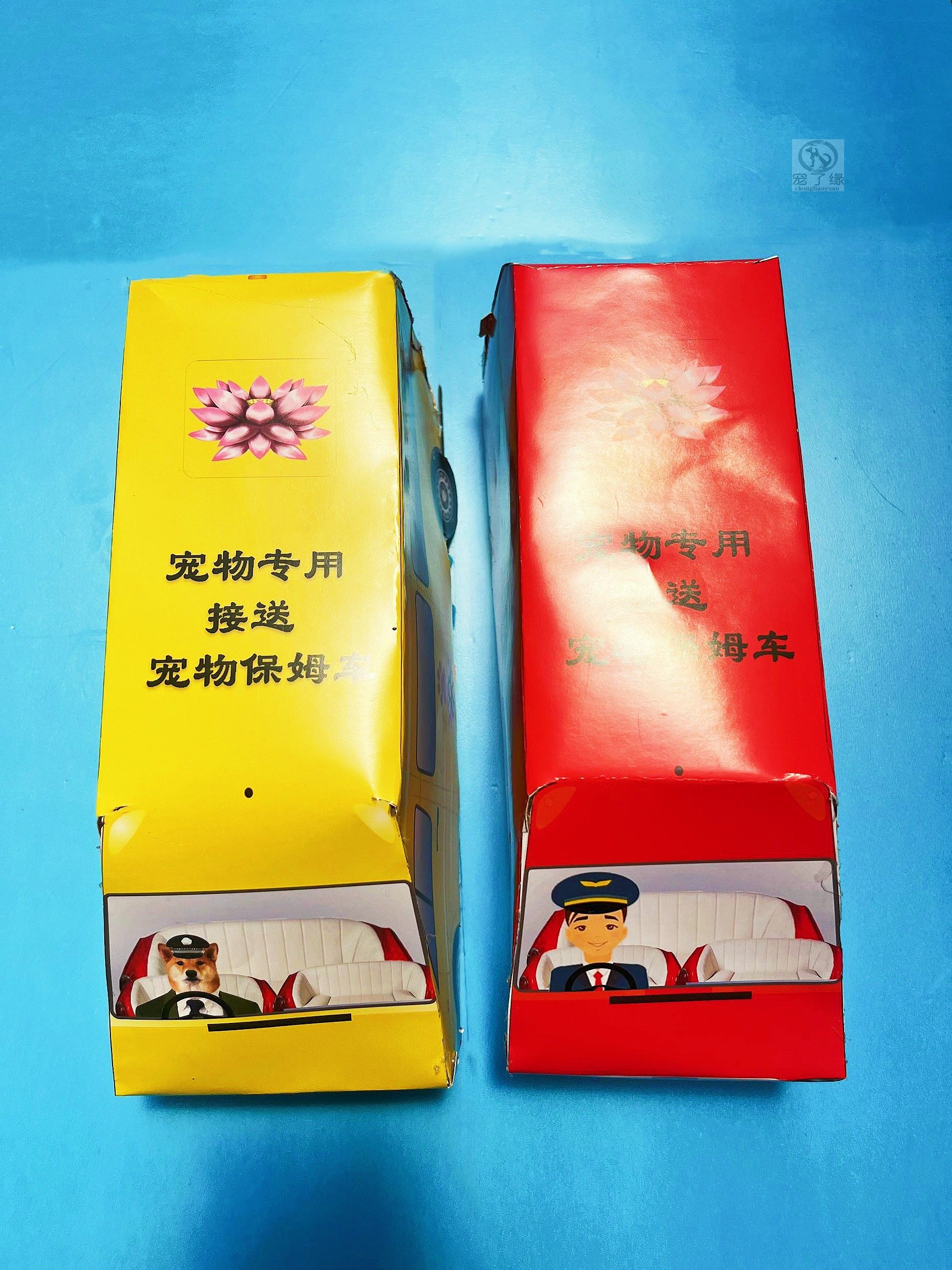 Puppy cat pet sacrificial offering dies The first three-tailed seven cats and dogs ashes cremated funeral boxes to commemorate the burial of the earth