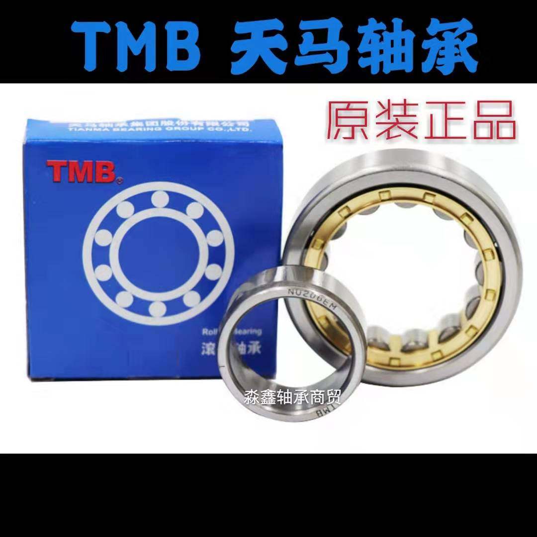 Sky Horse TMB bearings N NU NJ RN NUP NF 304305306 307EM M C3 P5 P5