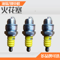 Chainsaw spark plug Hedge trimmer Gasoline saw Lawn mower Igniter Torch nozzle Weeding weeding machine spark plug