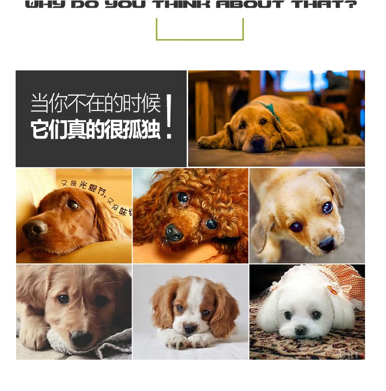 Pet đồ chơi mèo con chó mol cắn kháng đồ chơi knot Teddy dệt bông sợi dây thừng bóng puppy nguồn cung cấp đào tạo đồ chơi thú cưng