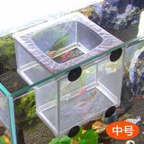 Fish tank hatching juvenile fish isolation net water isolation net breeding hatching box medium and large isolation box net breeding box