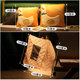 Pillow quilt dual-purpose thickened office folding nap pillow blanket two-in-one sofa car cushion car