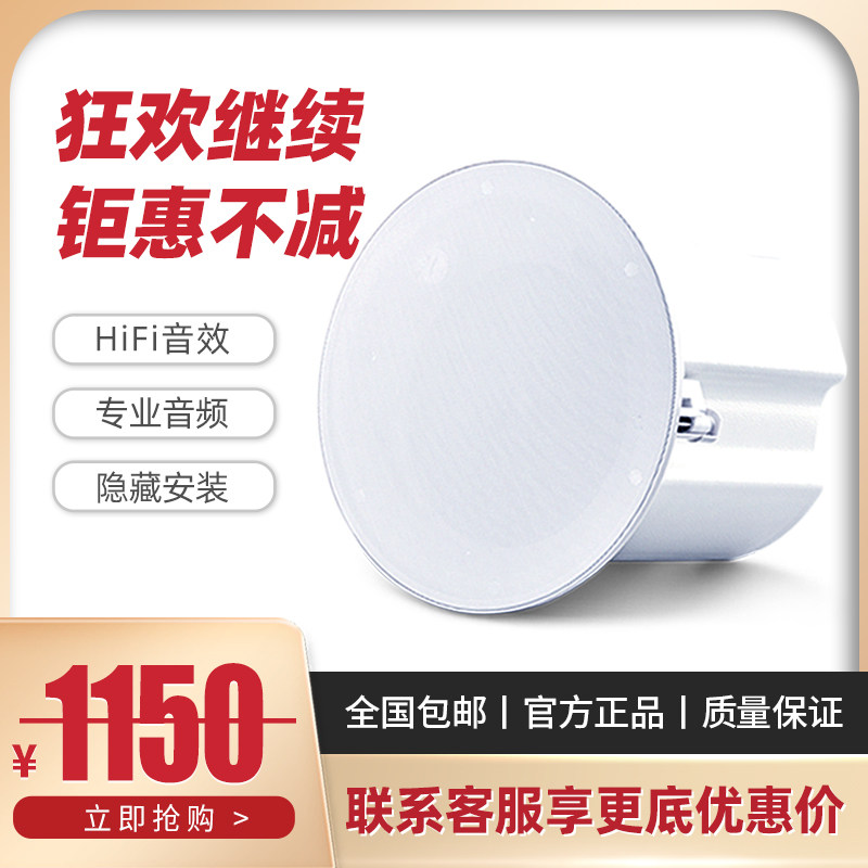VILLIS high-end store ceiling speaker ceiling hanging HIFI ceiling embedded speaker amplifier