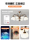 American Retro Living Room Chandelier, Mid-Century Style, Simple Crystal Dining Room Bedroom Main Light, Guangdong Zhongshan Whole House Package Light