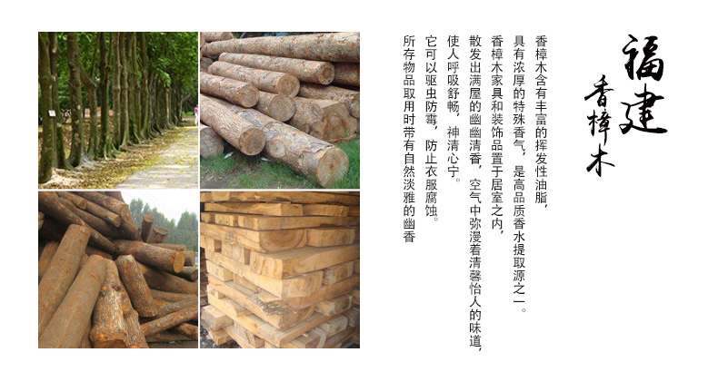 bàn trà nước màu tím bàn trà lá Trung Quốc long não gỗ nội thất cá chu kỳ sáng tạo bảng trà quanh bàn cà phê kết hợp - Bàn trà bàn trà ngồi bệt
