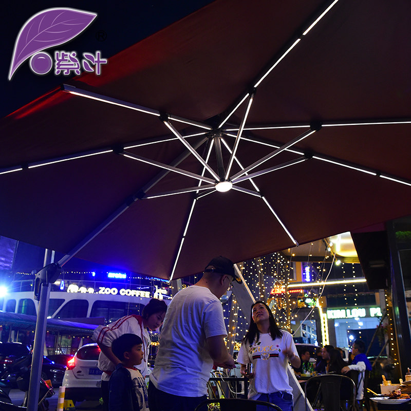 ��Ҷ��������̫����ɡ��led��1001