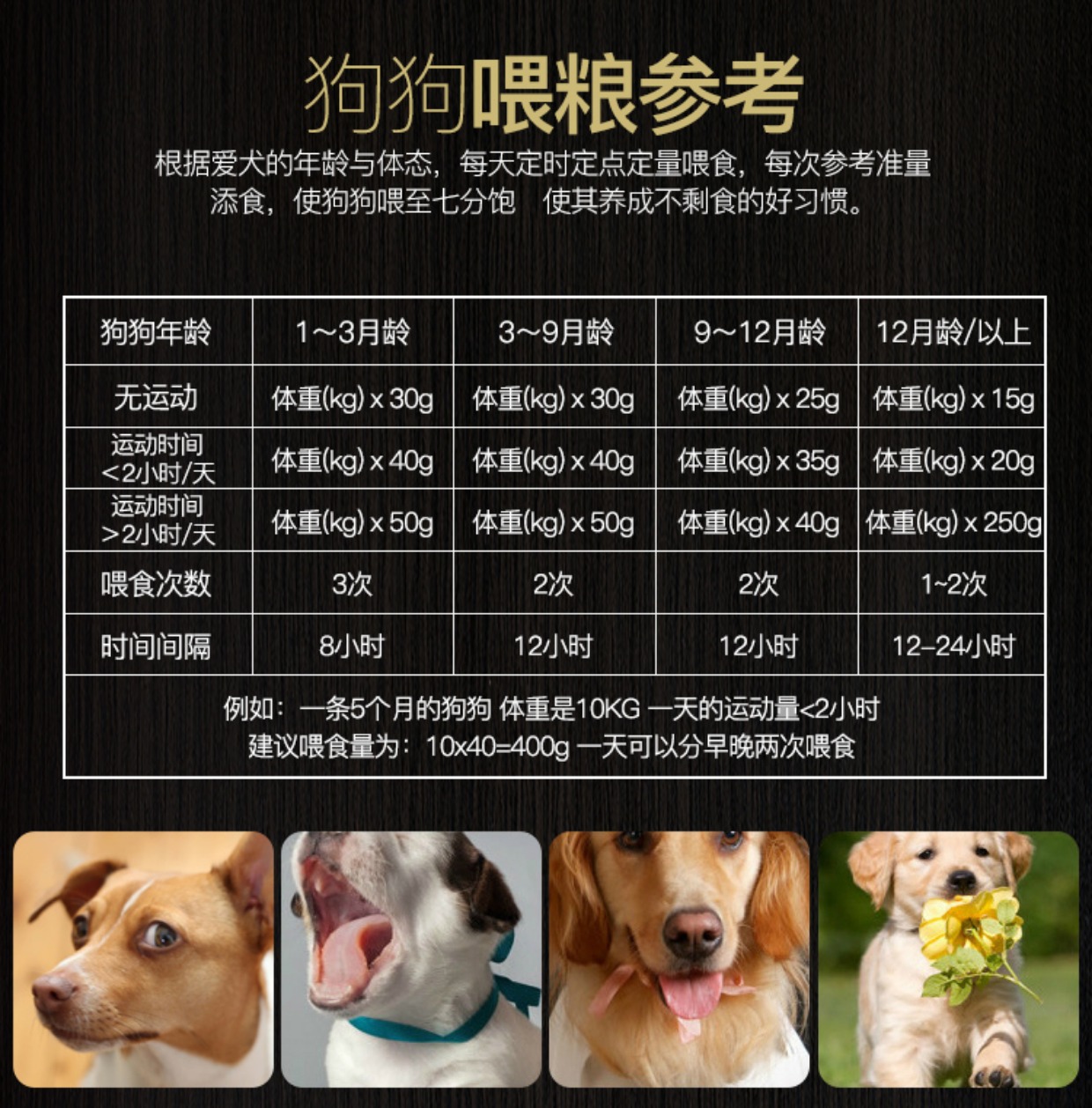 Power Wolf Dog Food Flammulina Mushroom Thịt bò cuộn Chó nhỏ Thức ăn cho chó trưởng thành 5kg Teddy Bear Bear Dog Food - Chó Staples thức ăn hạt mềm zenith cho chó