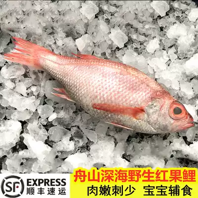 Zhoushan wild deep sea red fruit carp daily net red East China Sea liquid nitrogen frozen black throat Fish Red Fish 500g