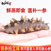 Yuqitang instant-eating sea cucumber sea cucumber frozen a catty Liaoning Dalian wild bulk bubble bottom sowing good nine years of Liaoning ginseng