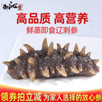 Yuqitang Dalian instant sea cucumber sea cucumber frozen single pack 500g fast food wild high pressure fresh sea seepage Liao ginseng