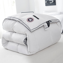 Hilton duvet 95 white goose down five-star hotel winter quilt single thickened warm double spring and Autumn quilt quilt core