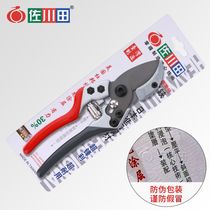 Taiwan Sachuantian garden pruning shears pruning shears gardening scissors