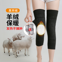 Cashmere kneecap sports warm male and old chill leg lengthened thickened anti-cold lacquer knee joint sleeve protective leg female