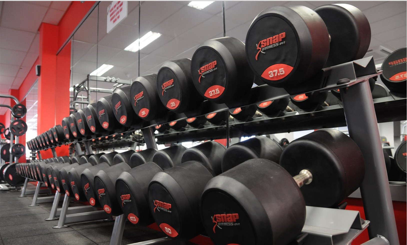American Snap Fitness Fixed Round Head Dumbbells Dumbbells Fitness Room Professional Environmentally-friendly Dumbbells