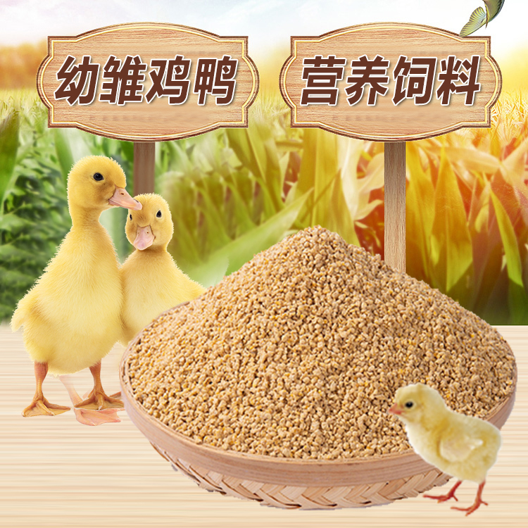 Duckling Feed Special Kool Duck Special Food Pet Duck Food Duck Feed Pellet Pet