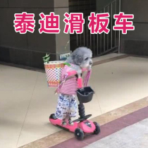 Teddy scooter Classic scooter One foot slide dog scooter Small toy French bucket skateboard special