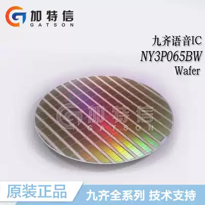 NY3P065BW package Wafer Wafer Nyquest Jiuqi voice IC first-level agent OTP whole series