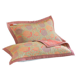 A pair of 60-count type a pure cotton pillow towels